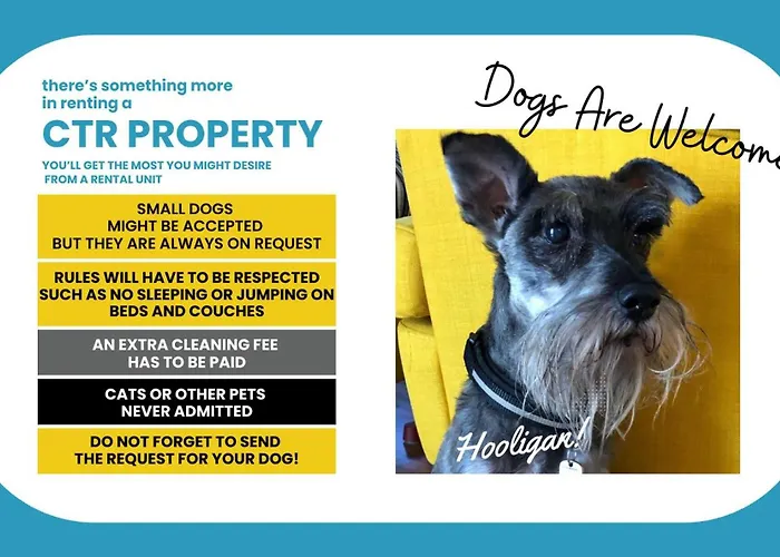 Picabon Quiet With Ac & Balcony * Monterosso al Mare